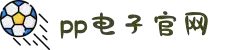 PP电子(中国大陆)官方网站